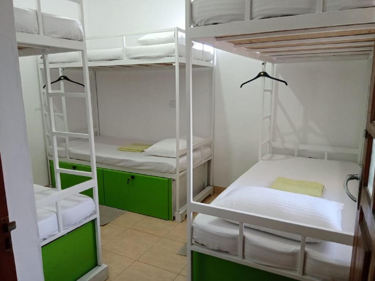 Kandy Walkers Hostel Tennekumbura Vandrarhemssängar bild